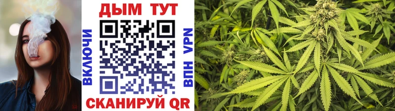 Купить Павловск Шишки марихуана White Widow
